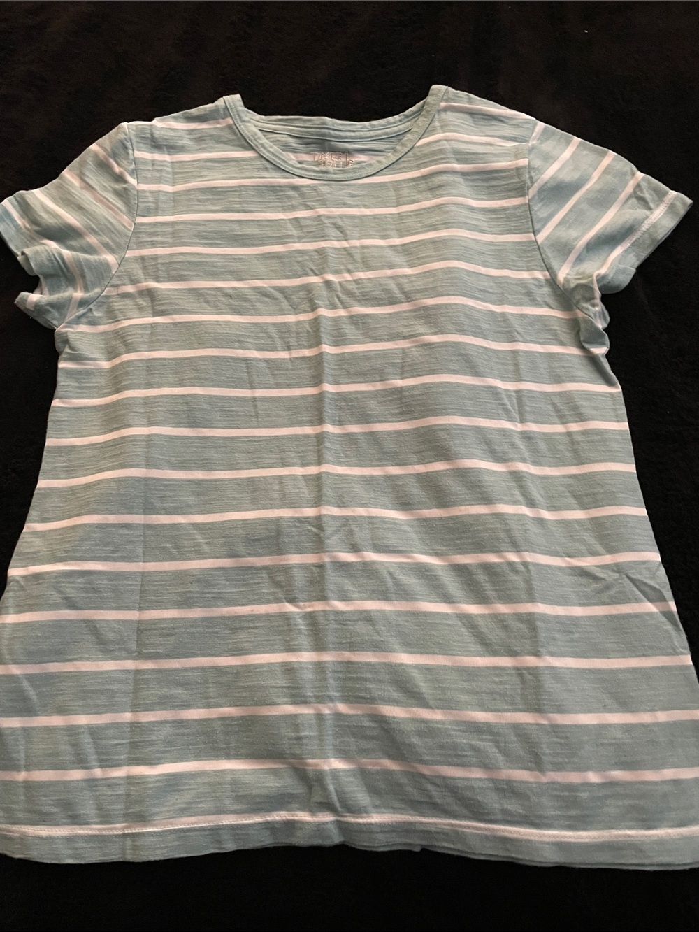 Time and Tru Blue and White Striped Short Sleeve Tee